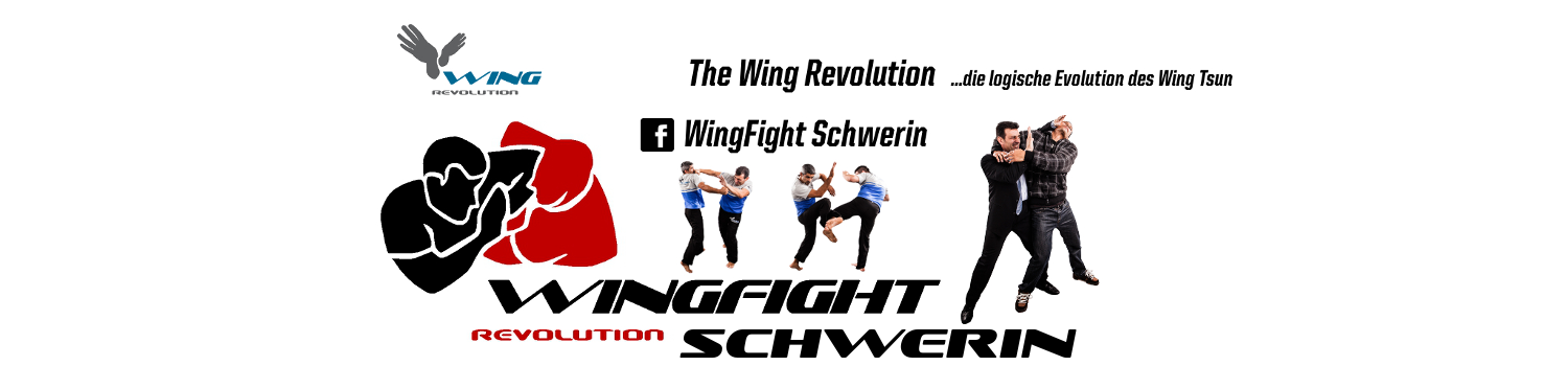 Banner WingFight Schwerin in weiß.
